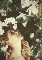 /album/mercedes-lambre/images-jpg/